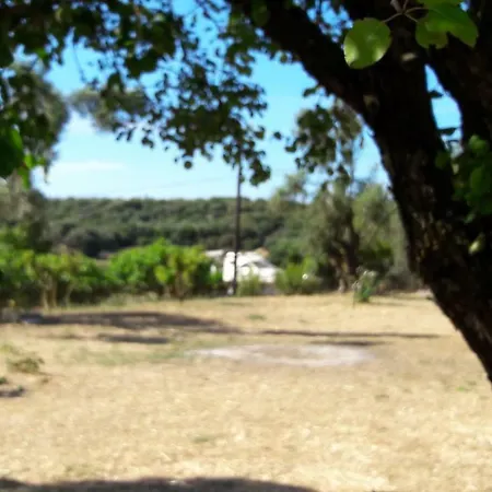 Kefalonia 乡村民宿 Dhorizáta