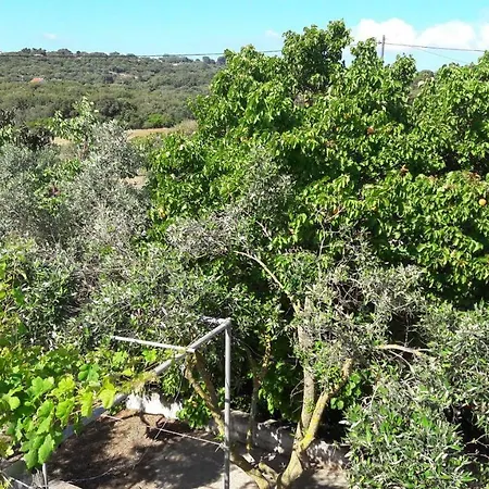 Kefalonia * Dhorizáta