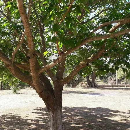 Kefalonia * Dhorizáta